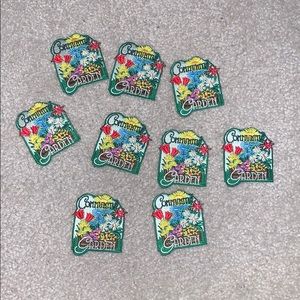 9 Girl Scout badges